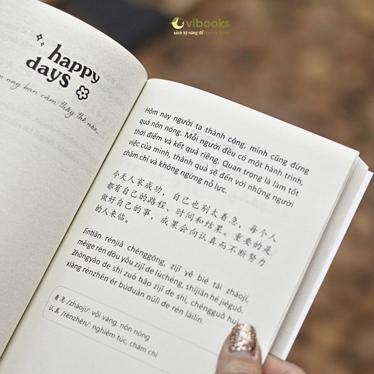 Hom Nay La Ngay Dep Troi De Chia Tay Noi Buon - Song Ngu Viet-Trung