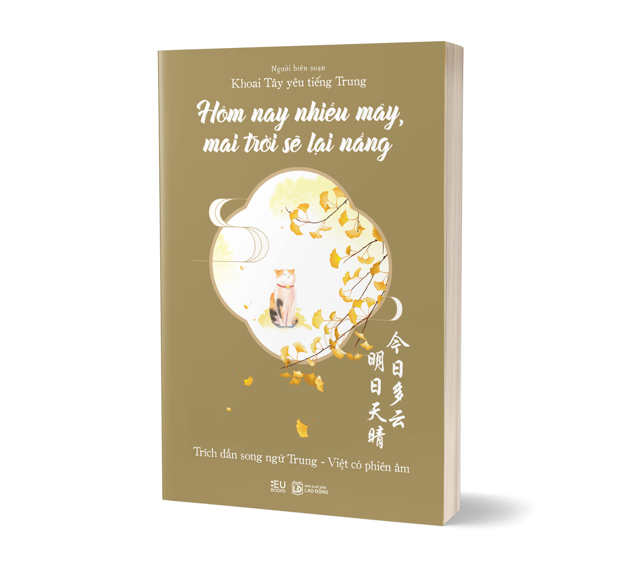 Hom Nay Nhieu May, Mai Troi Se Lai Nang