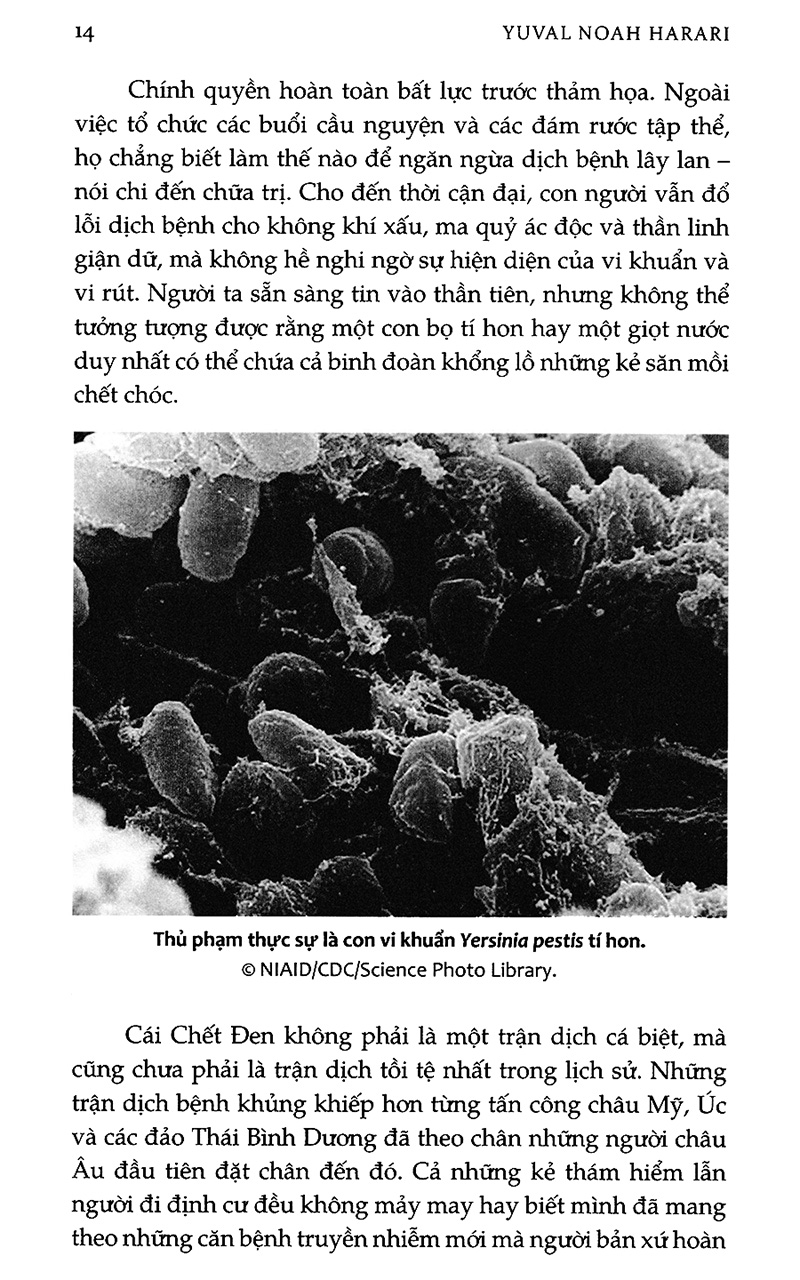 homo deus - lược sử tương lai (tái bản 2023)