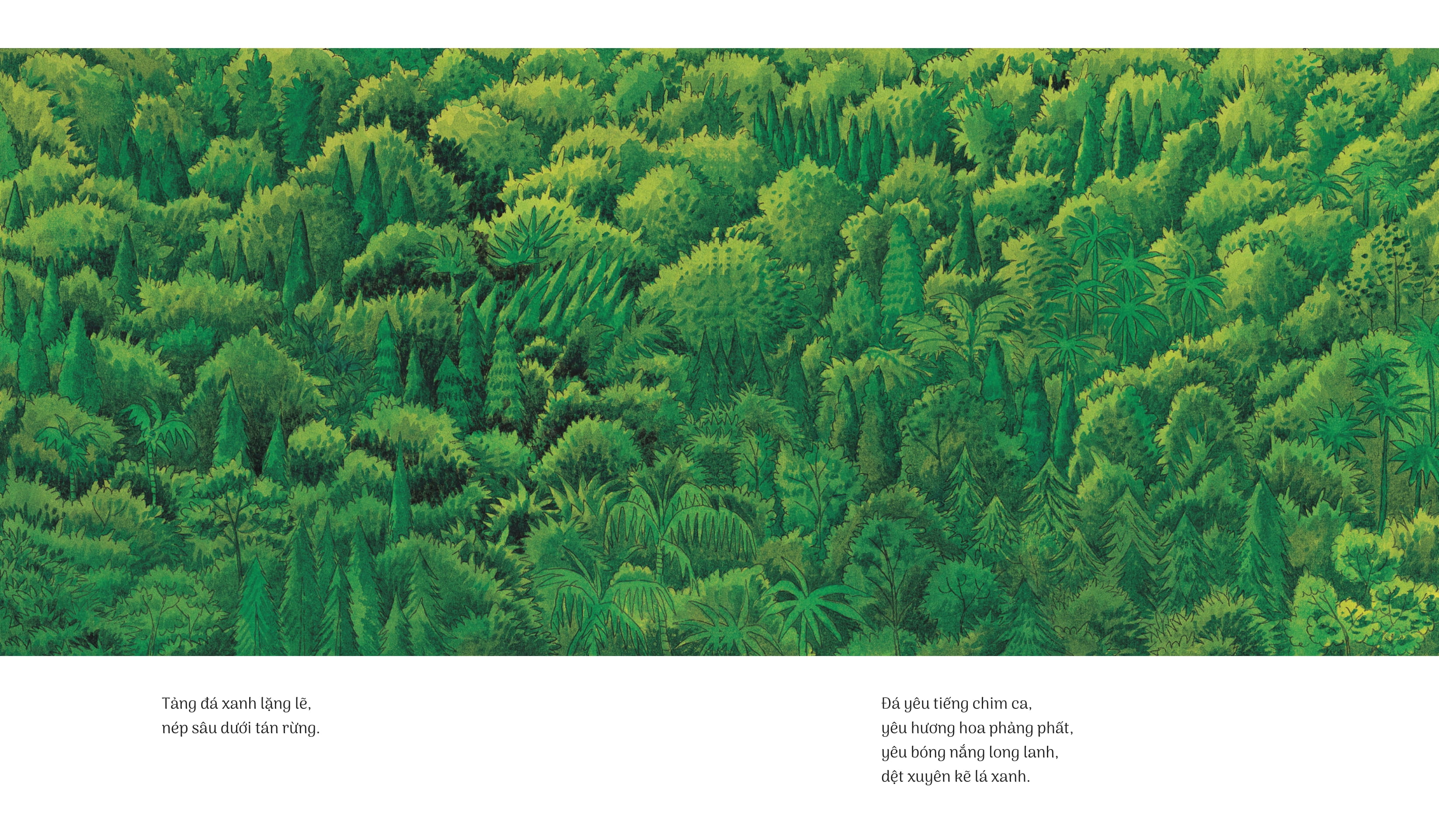 hòn đá xanh - bìa cứng