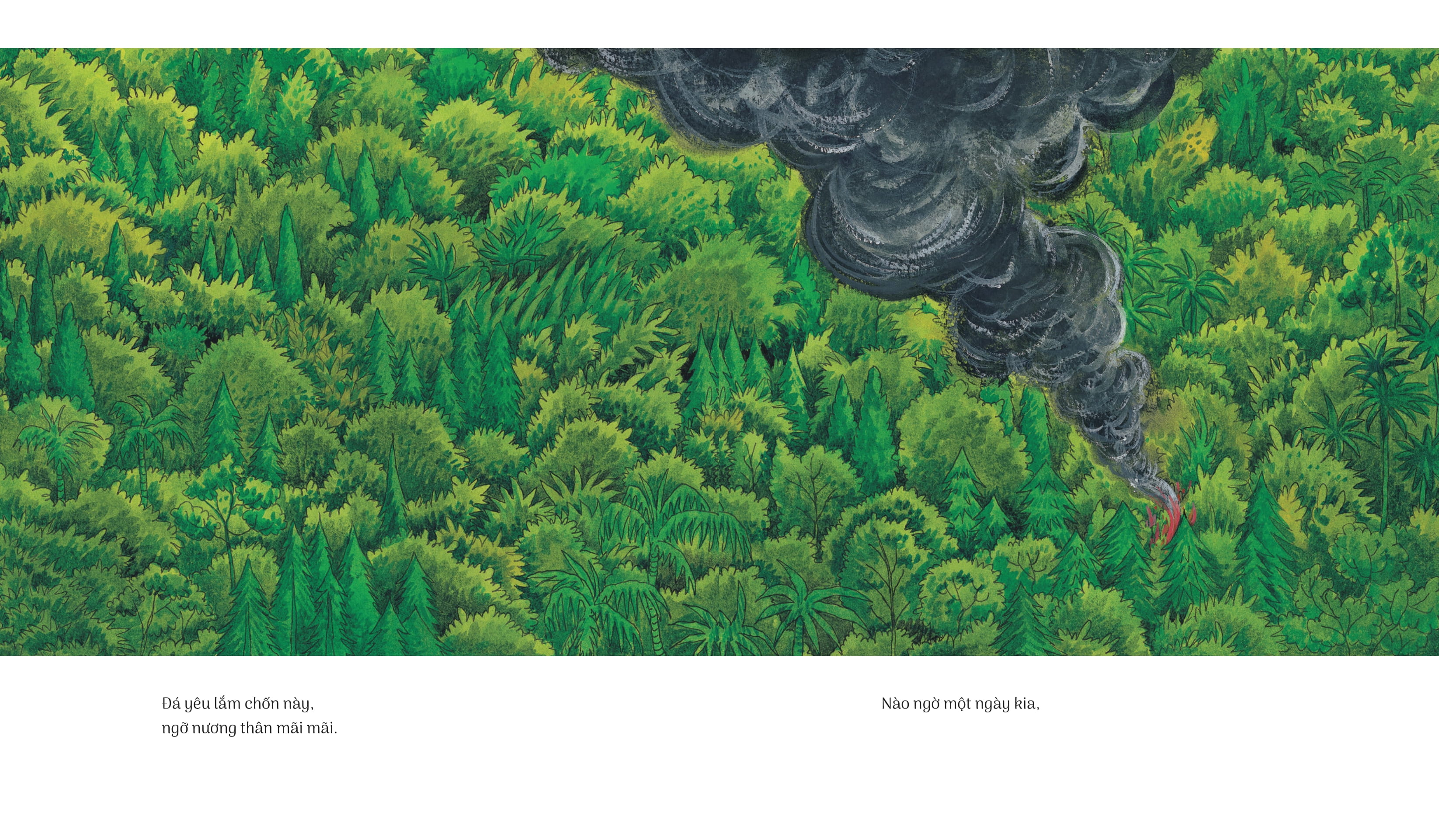 hòn đá xanh - bìa cứng