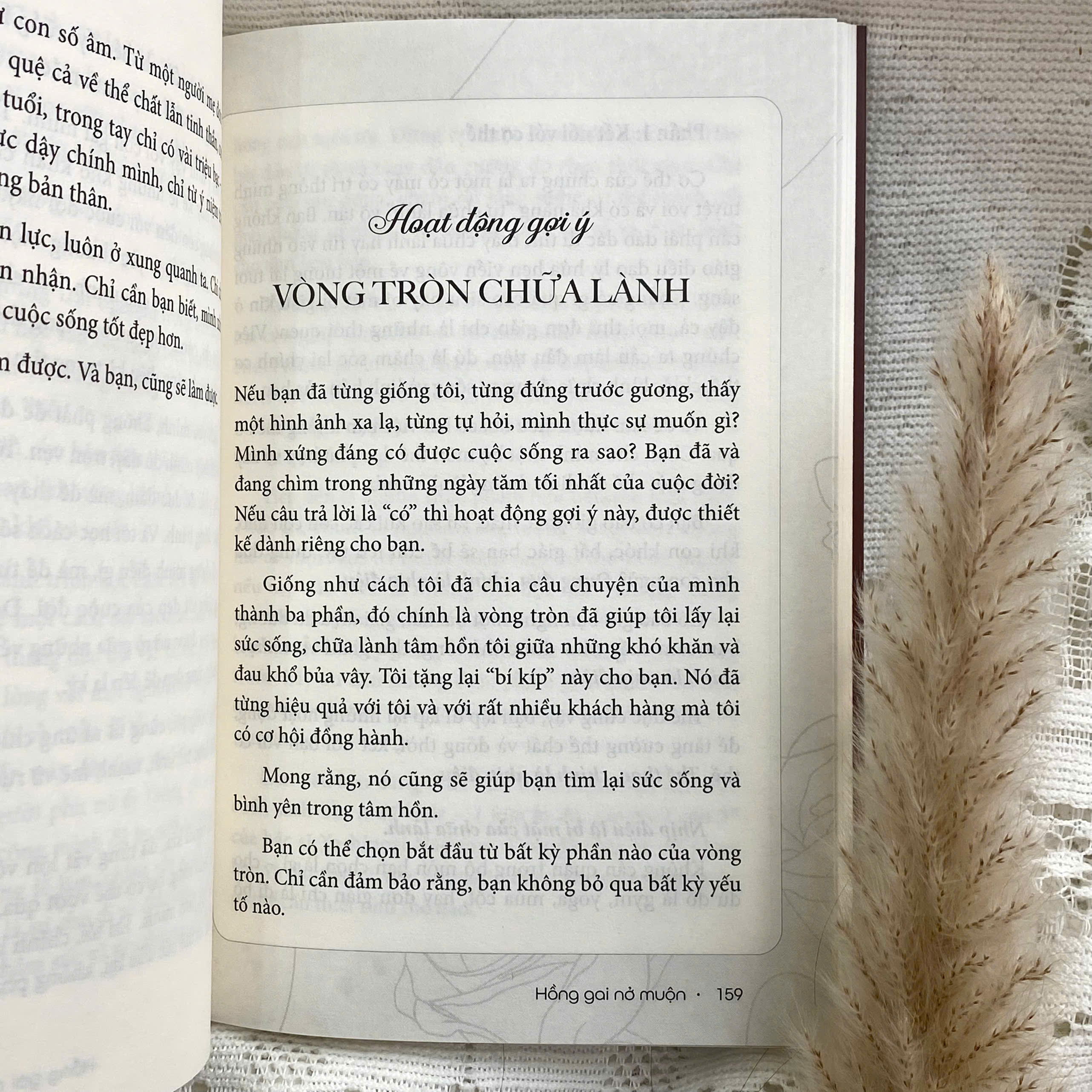 Hong Gai No Muon - Hanh Trinh Tu Co Be Ton Thuong Den Nguoi Thap Lua Hanh Phuc