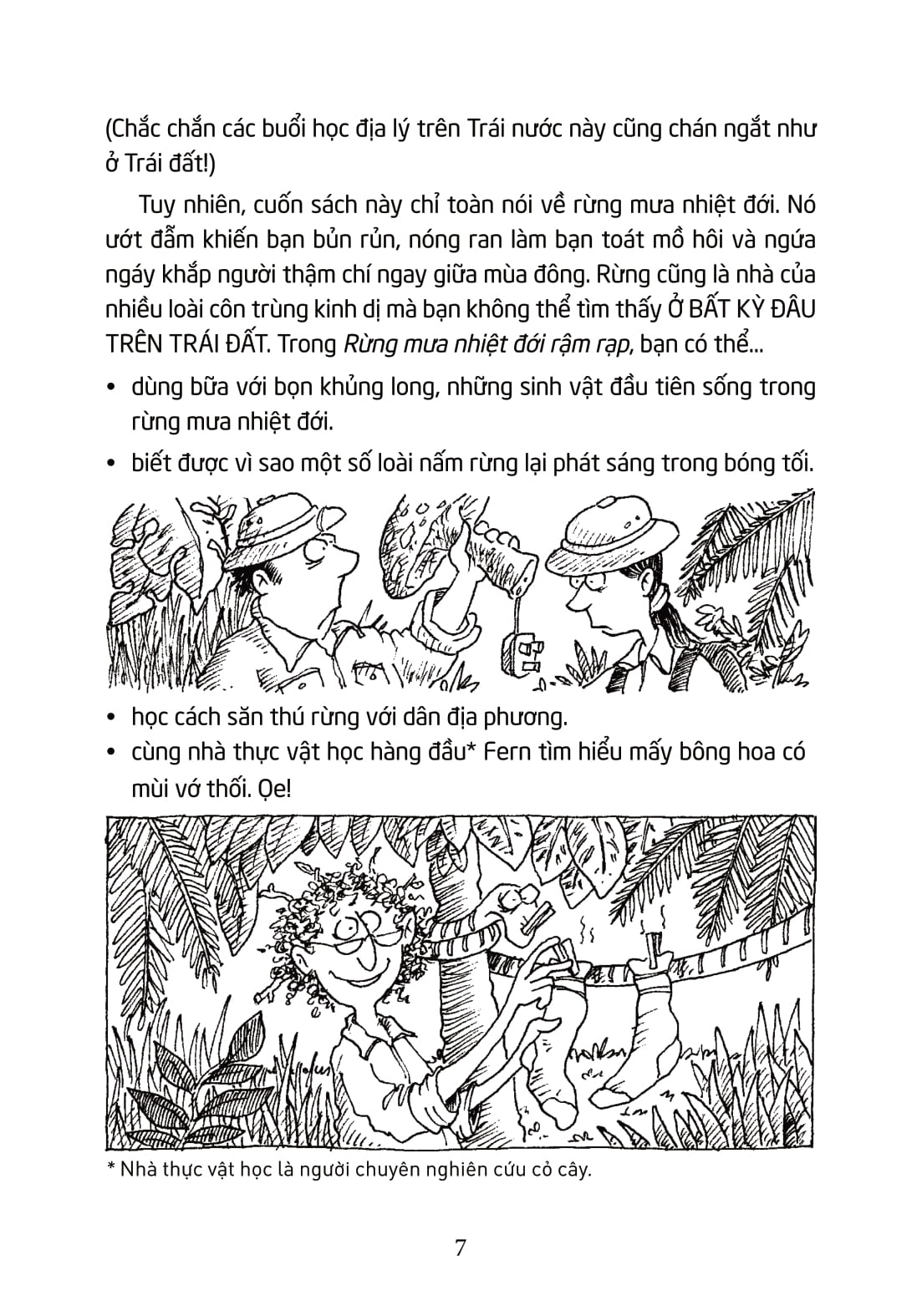 horrible geography - rừng mưa nhiệt đới rậm rạp