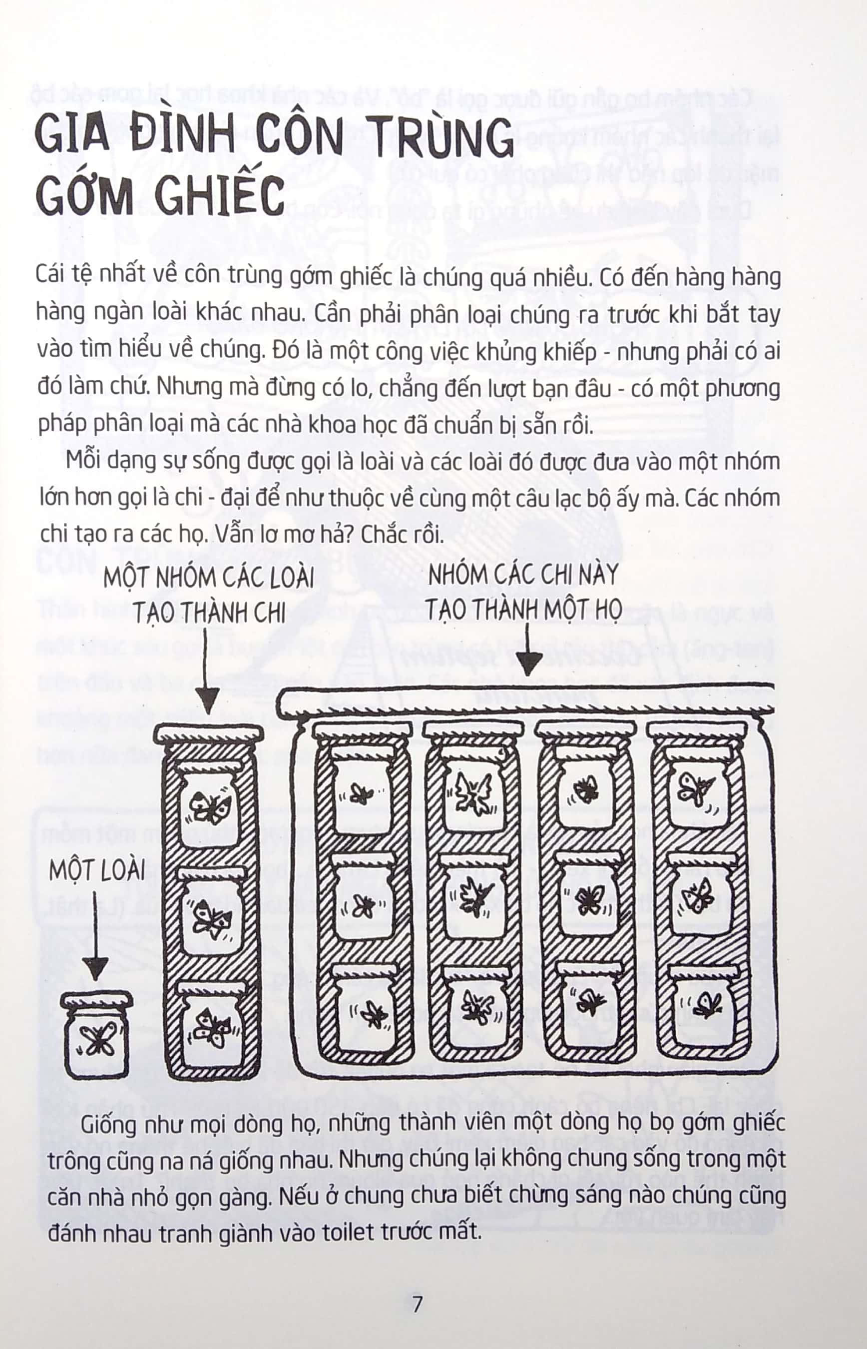 horrible science - côn trùng gớm ghiếc