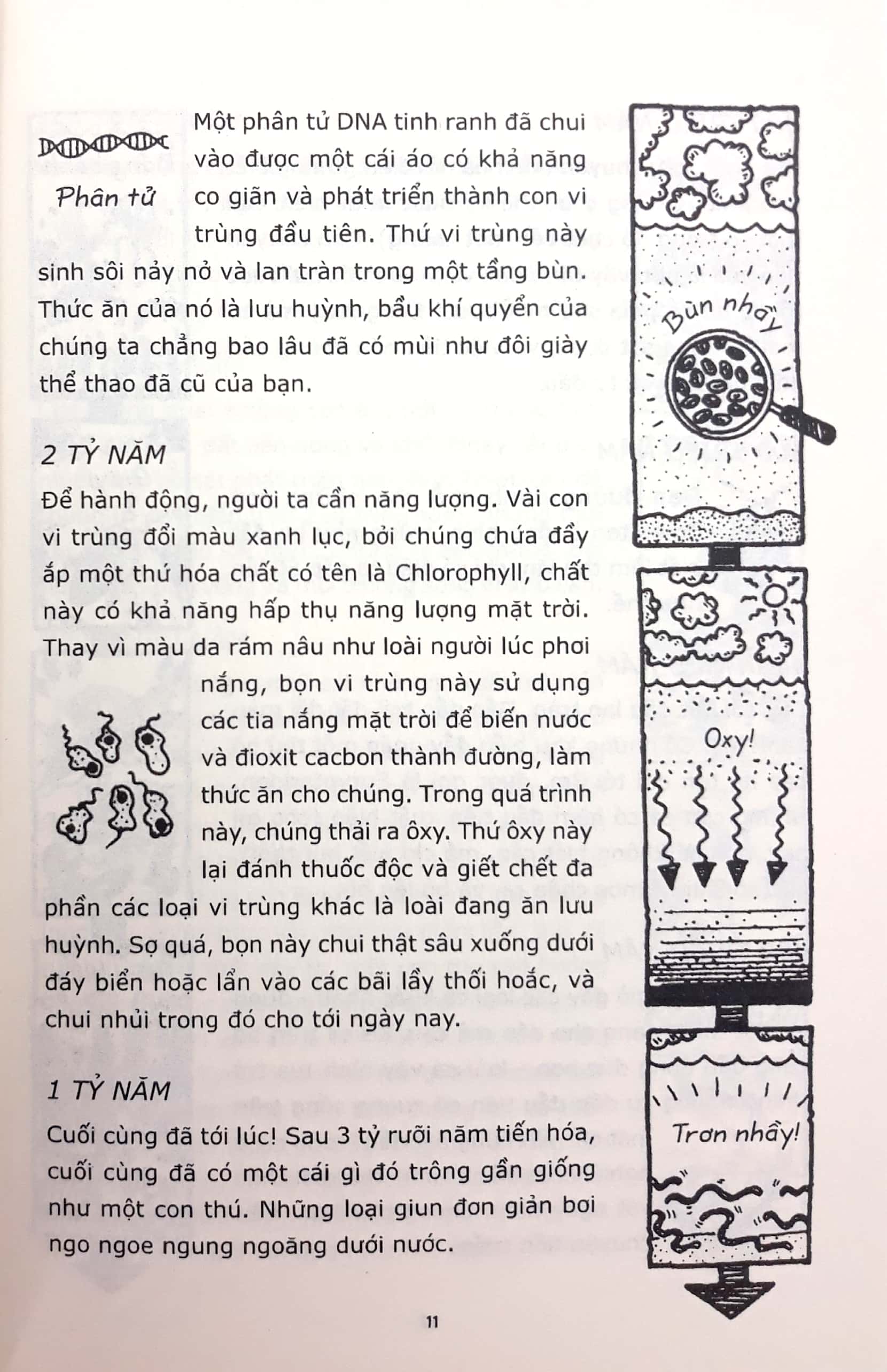 horrible science - sinh học có những câu chuyện kỳ diệu (tái bản 2021)