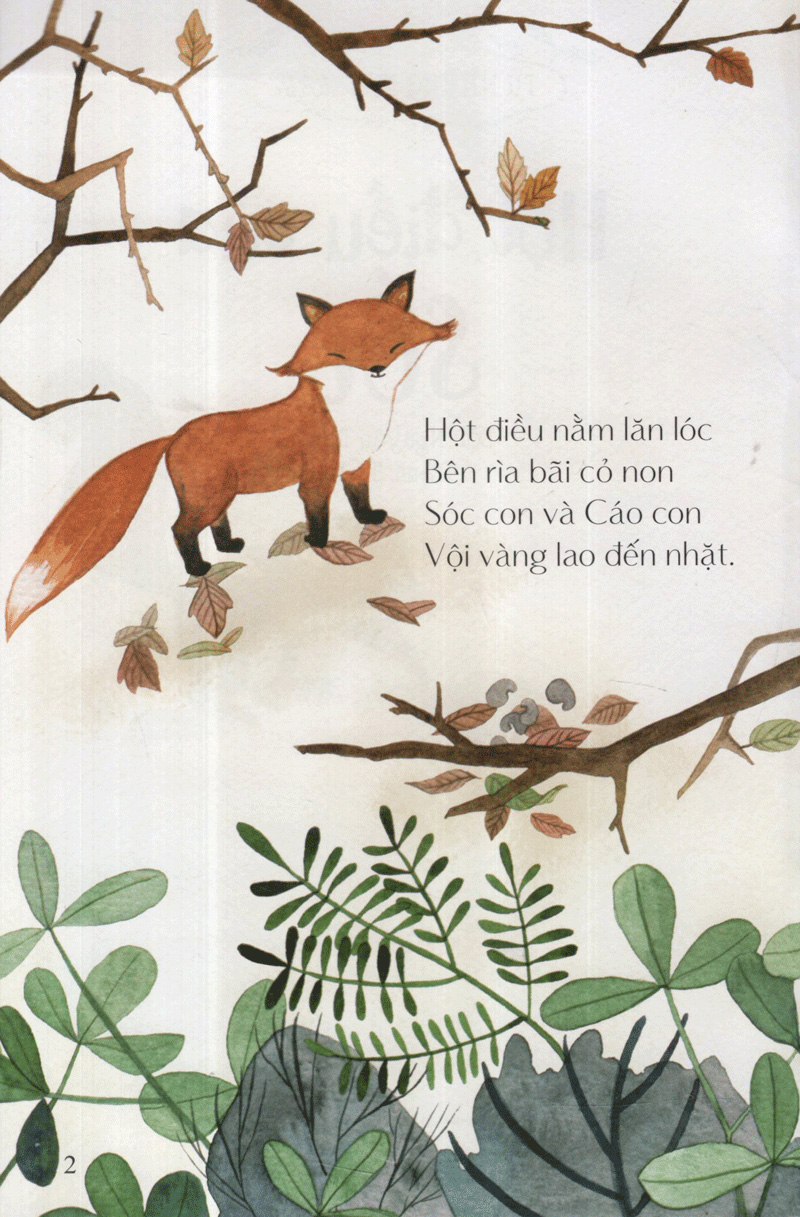 hột điều của sóc - từ những hạt mầm