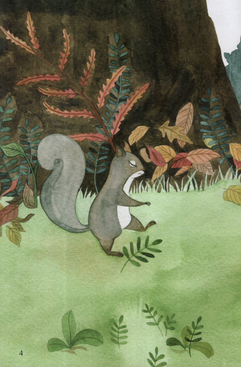 hột điều của sóc - từ những hạt mầm