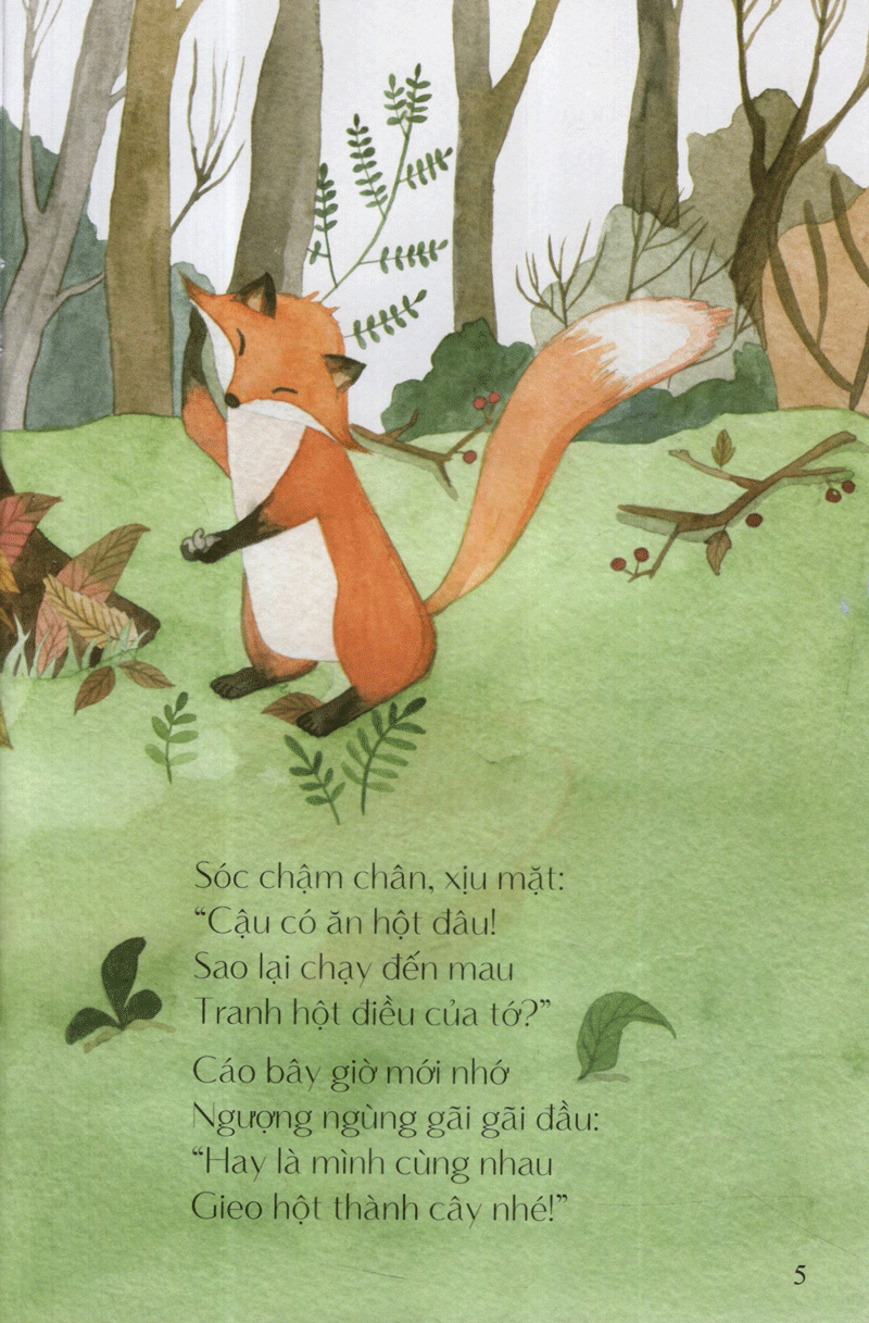 hột điều của sóc - từ những hạt mầm