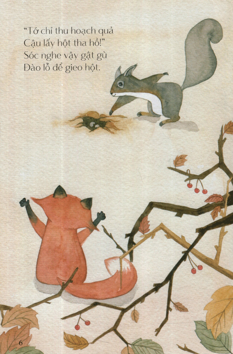 hột điều của sóc - từ những hạt mầm