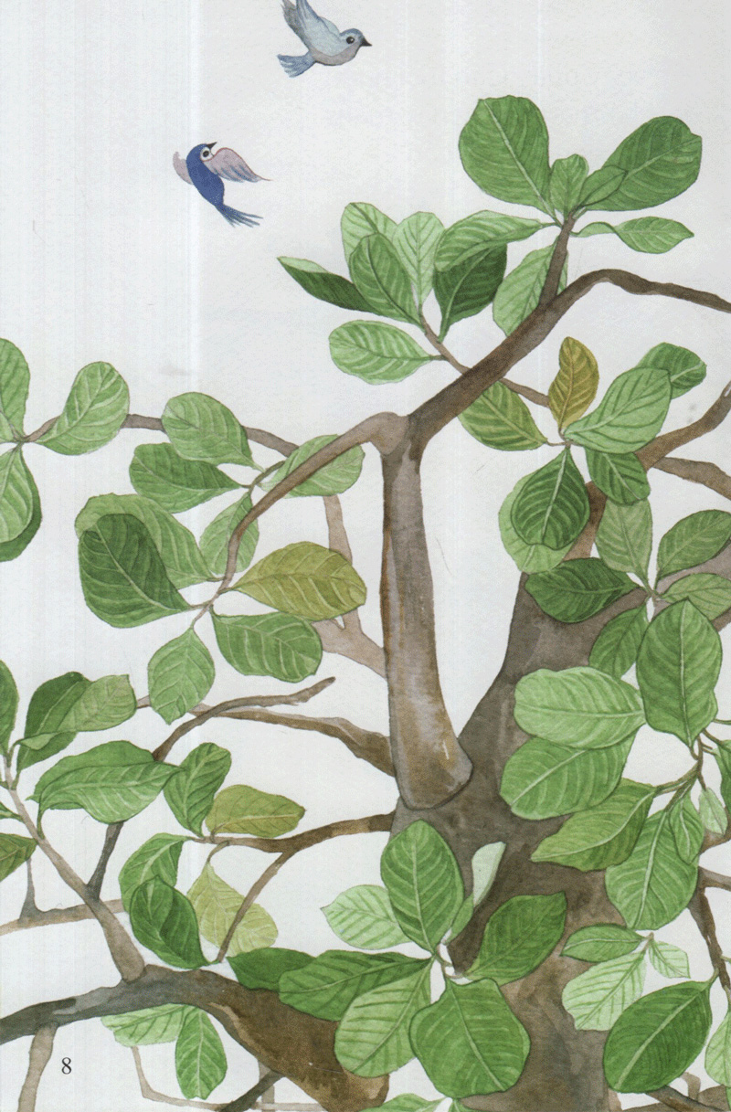 hột điều của sóc - từ những hạt mầm