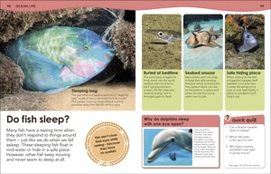 how deep is the ocean? : with 200 amazing questions about the ocean