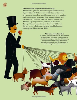 how dogs work: a head-to-tail guide to your canine (how things work)