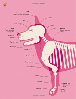 how dogs work: a head-to-tail guide to your canine (how things work)