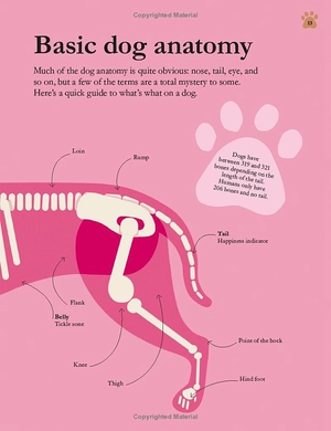 how dogs work: a head-to-tail guide to your canine (how things work)