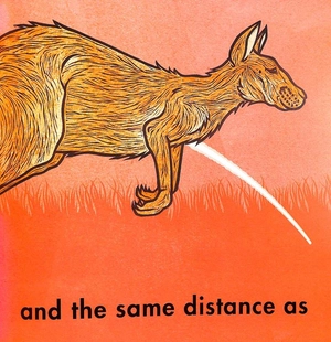 how far can a kangaroo jump?