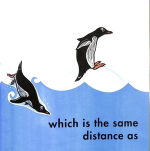 how far can a kangaroo jump?