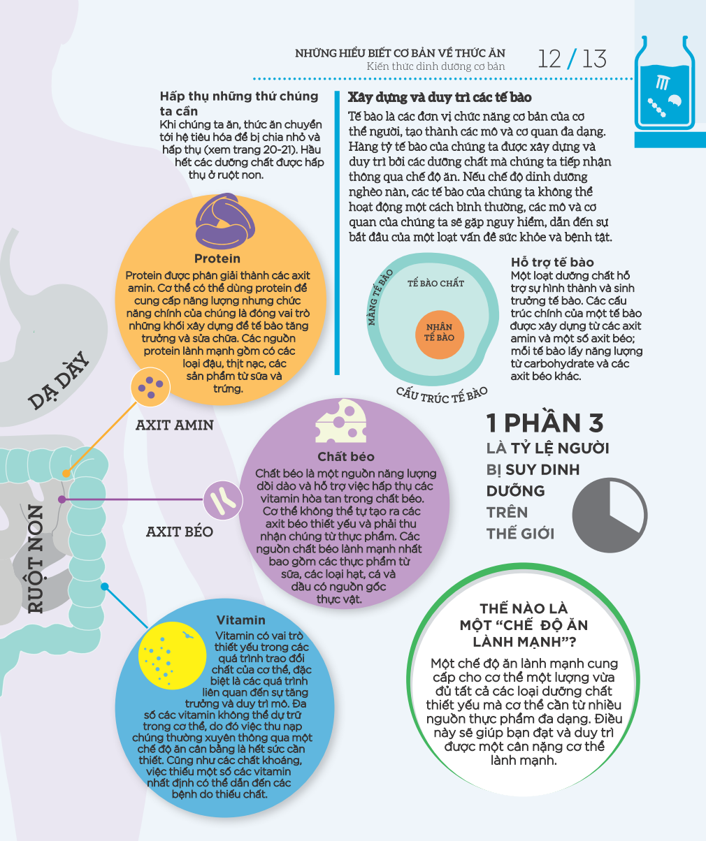 how food works - hiểu hết về thức ăn