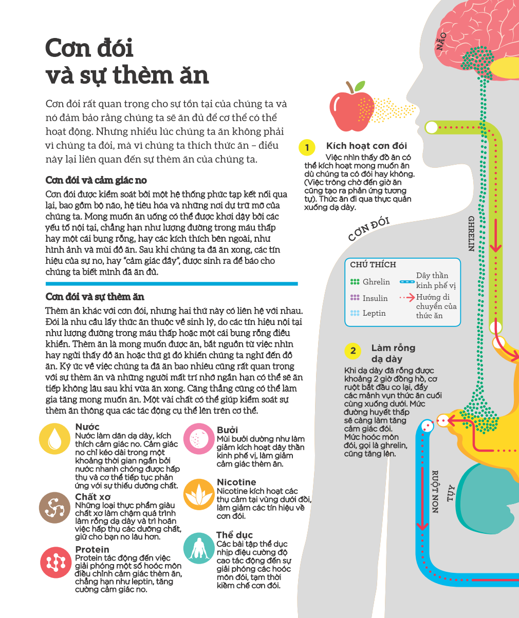 how food works - hiểu hết về thức ăn