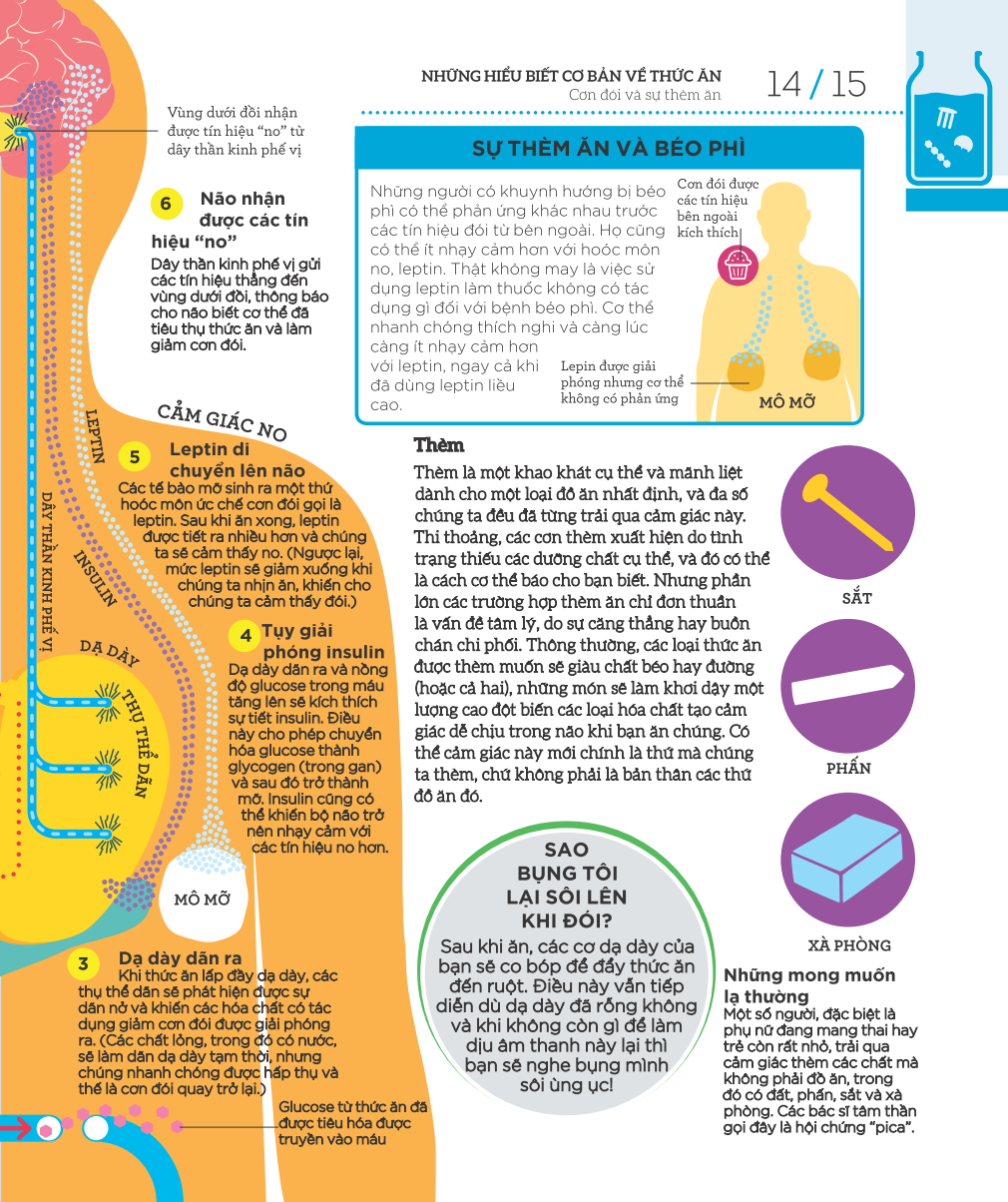 how food works - hiểu hết về thức ăn