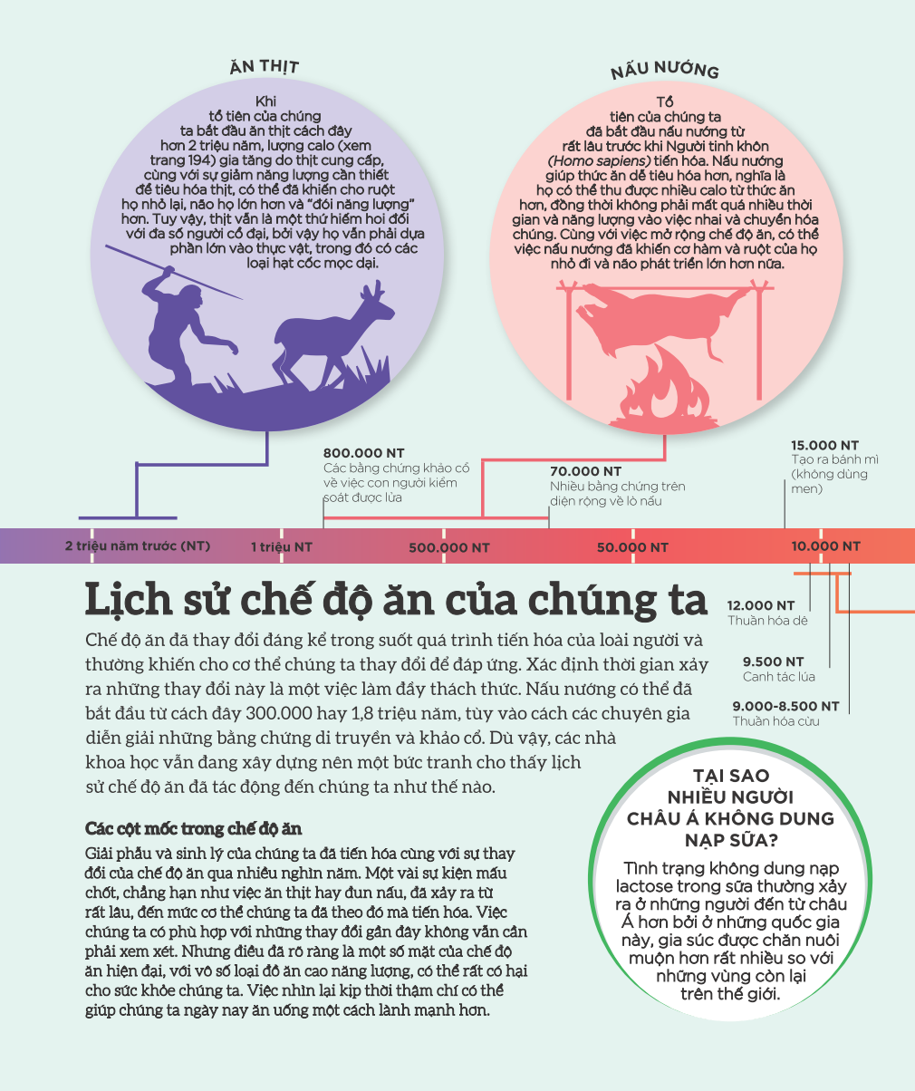 how food works - hiểu hết về thức ăn