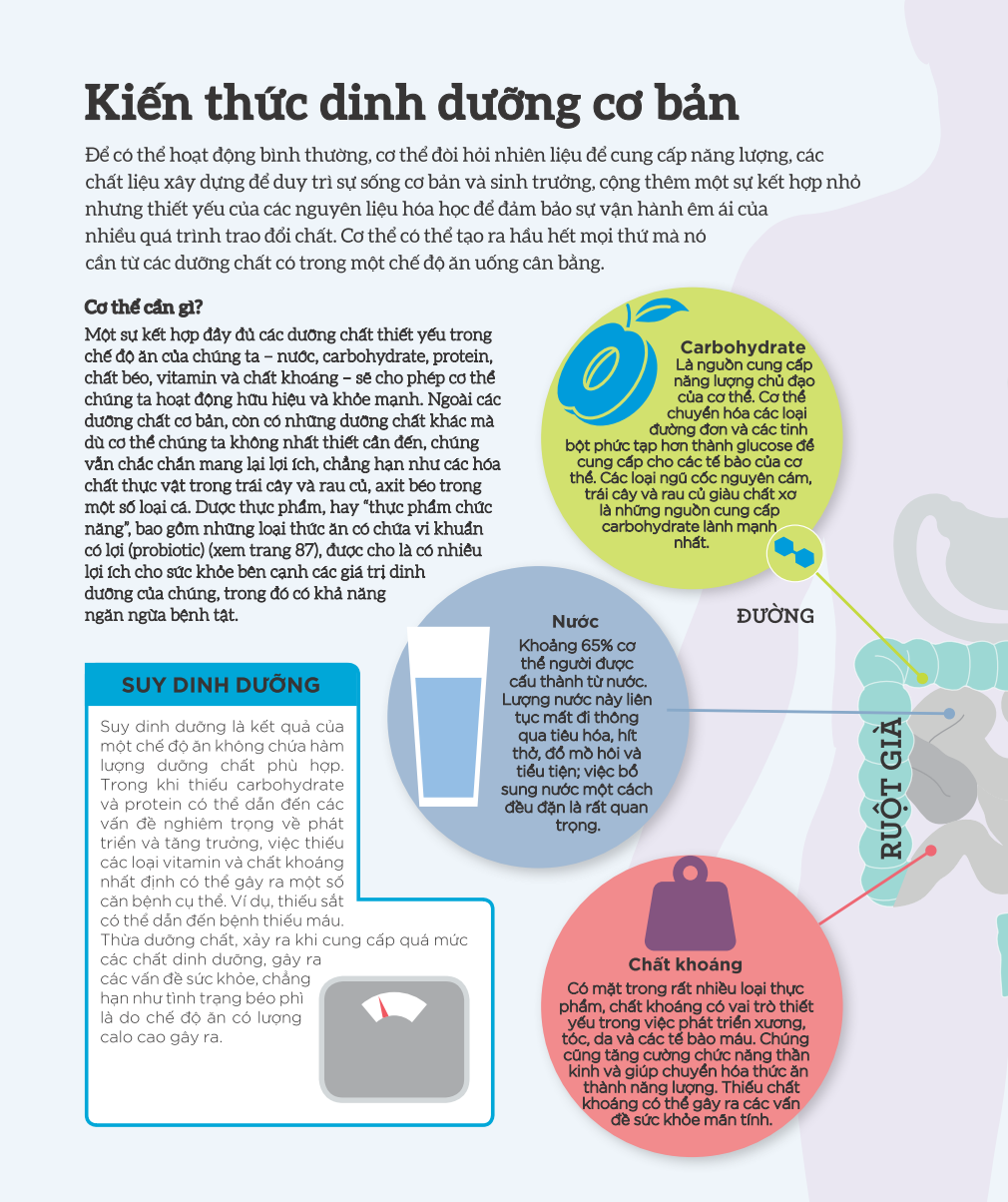 how food works - hiểu hết về thức ăn