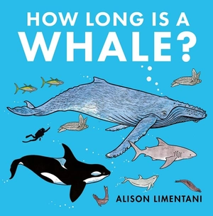 how long is a whale?