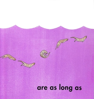 how long is a whale?