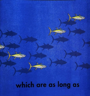 how long is a whale?