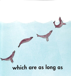 how long is a whale?