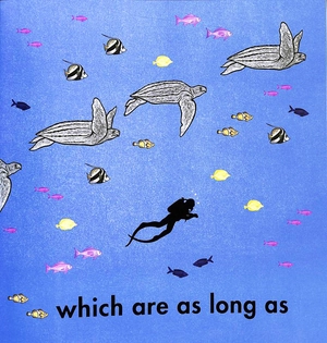 how long is a whale?