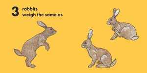 how much does a ladybird weigh?