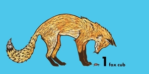 how much does a ladybird weigh?