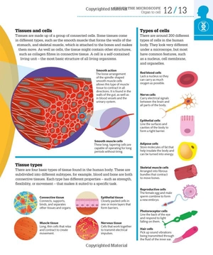 how the body works: big stuff simply explained