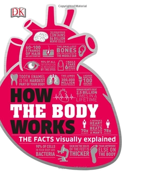 how the body works: big stuff simply explained