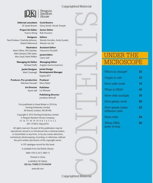 how the body works: big stuff simply explained