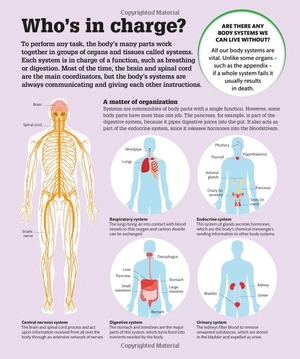 how the body works: big stuff simply explained