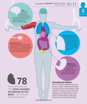how the body works: big stuff simply explained