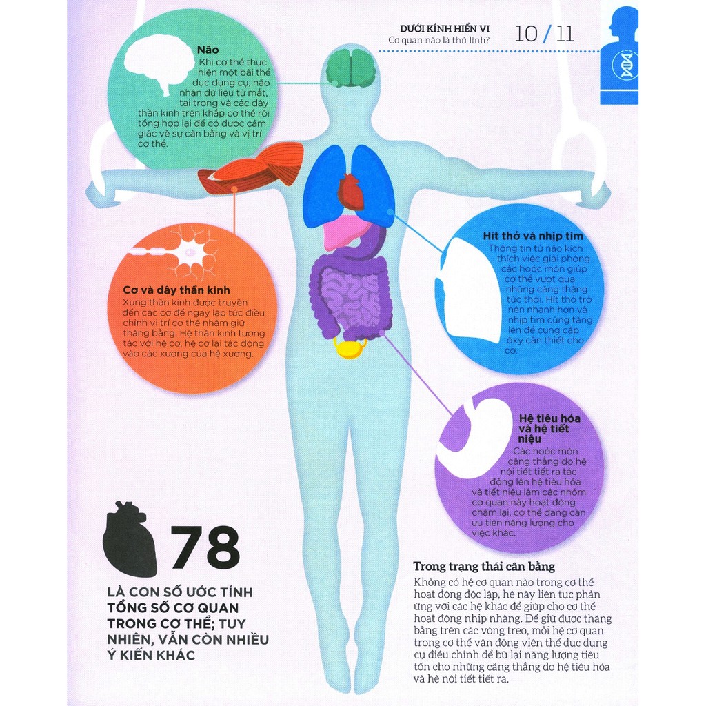 how the body works - hiểu hết về cơ thể