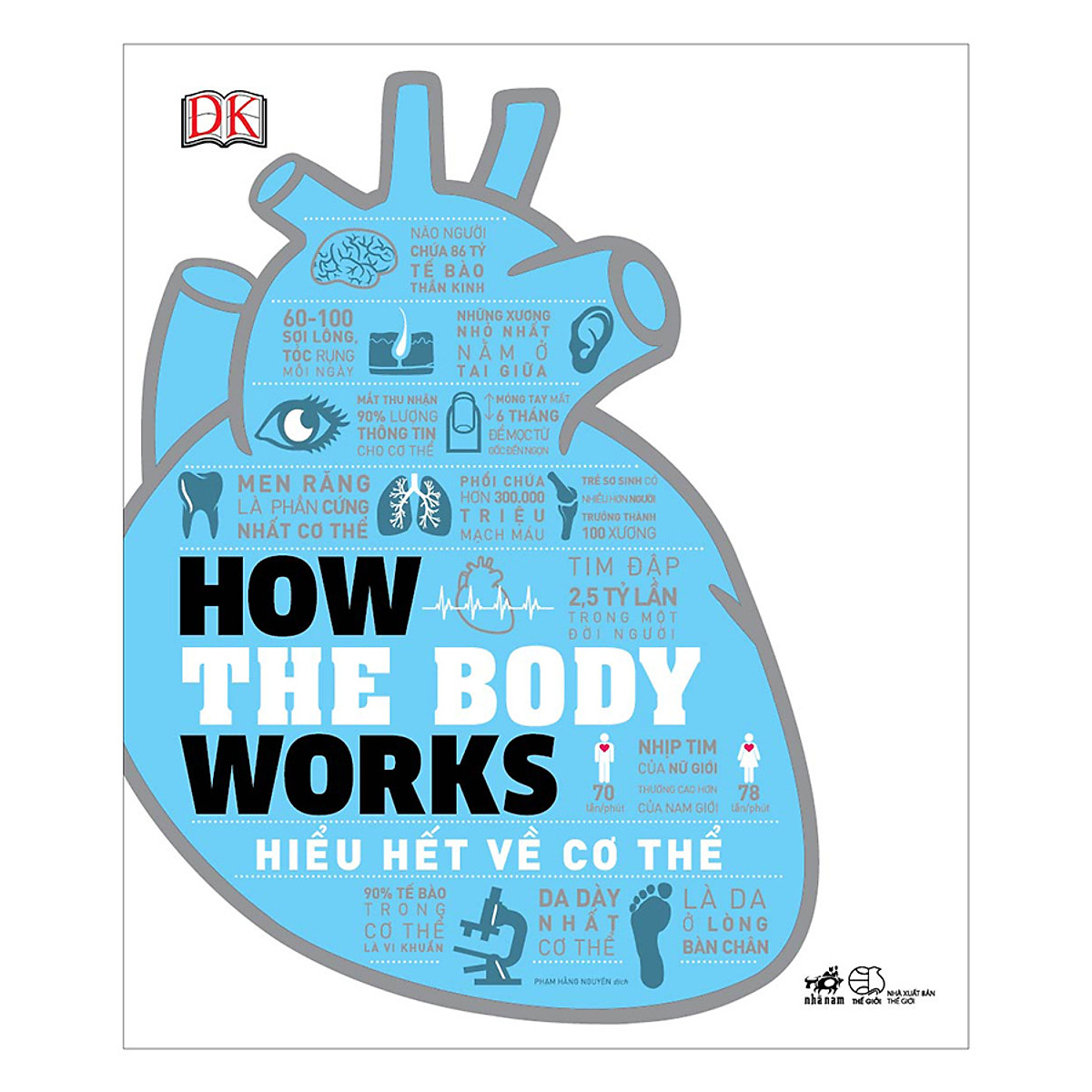 how the body works - hiểu hết về cơ thể