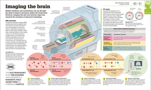 how the brain works: the facts visually explained (how it works)