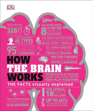 how the brain works: the facts visually explained (how things work)