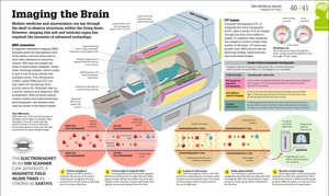 how the brain works: the facts visually explained (how things work)