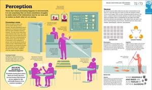 how the brain works: the facts visually explained (how things work)