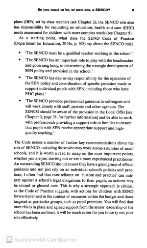 how to be an outstanding primary senco (outstanding teaching)