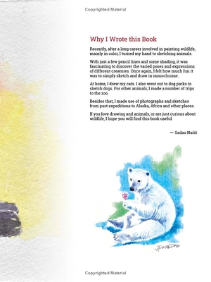 how to draw animals - a visual reference guide to sketching 100 animals including popular dog and cat breeds!