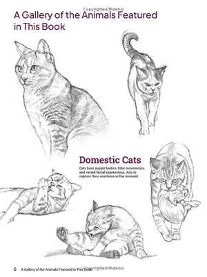 how to draw animals - a visual reference guide to sketching 100 animals including popular dog and cat breeds!