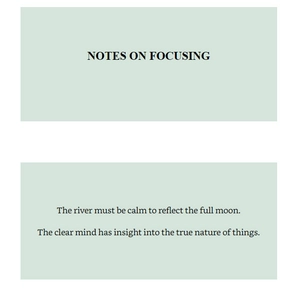 how to focus (mindfulness essentials)