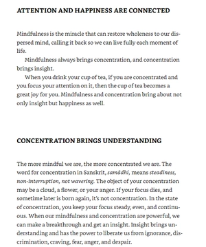 how to focus (mindfulness essentials)