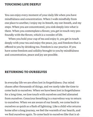 how to focus (mindfulness essentials)