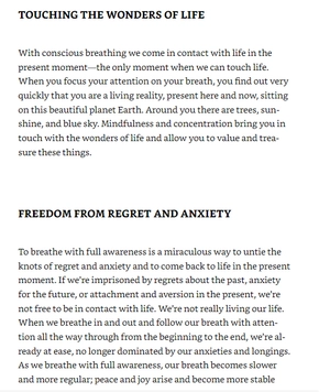 how to focus (mindfulness essentials)